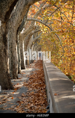 La promenade Riverside à Rome Italie Banque D'Images