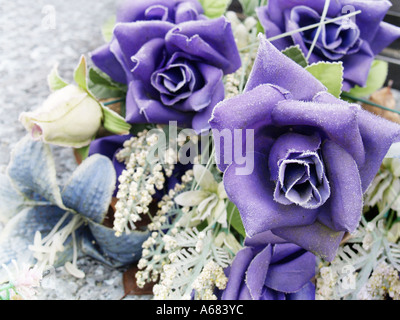 Arrangement de fleurs de mauve avec deux fleurs de premier plan Banque D'Images