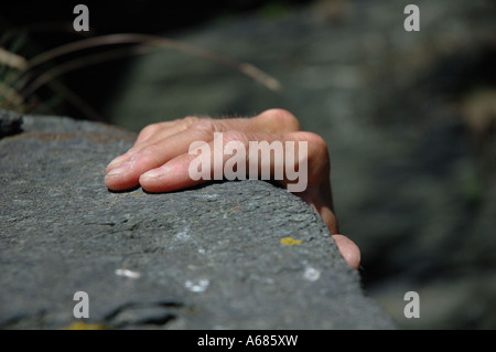 la main sur des rochers Banque D'Images