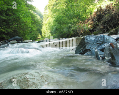 Streaming rapide brook circulant sur rochers Zillertal Tyrol Autriche Banque D'Images