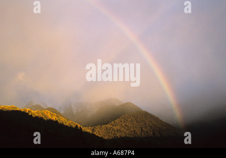 Un arc-en-ciel et anti rayons crépusculaires au coucher du soleil sur la forêt tropicale près de Franz Josef dans Westland Tai Poutini National Park, New Zealand Banque D'Images