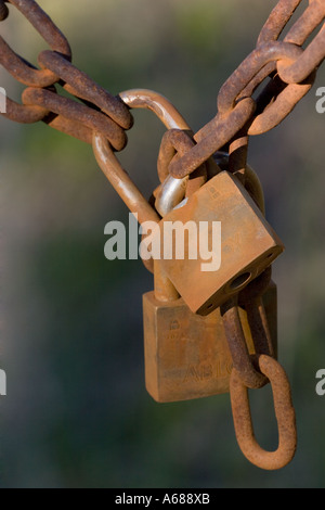 Deux cadenas rouillé recouvert d'une épaisse couche de rouille reliant deux chaînes ensemble Banque D'Images