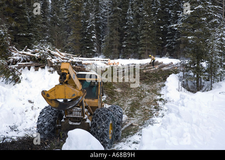 L'exploitation de bois infesté par le dendroctone du pin ponderosa Smithers Hudson Bay Mountain en Colombie-Britannique Banque D'Images