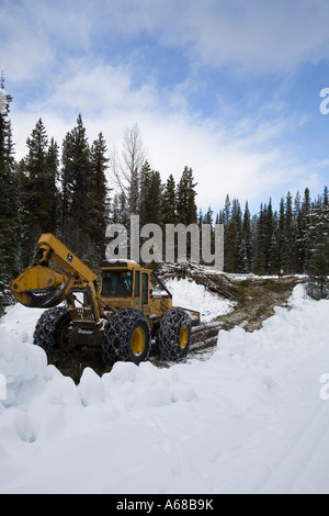 L'exploitation de bois infesté par le dendroctone du pin ponderosa Smithers Hudson Bay Mountain en Colombie-Britannique Banque D'Images