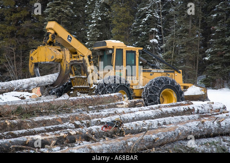 L'exploitation de bois infesté par le dendroctone du pin ponderosa Smithers Hudson Bay Mountain en Colombie-Britannique Banque D'Images