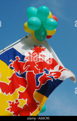 Drapeau provincial de Limburg battant sur un poteau avec des ballons Banque D'Images