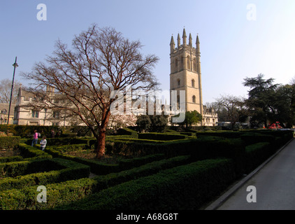 Tour du Magdalen College de l'Université d'Oxford Botanic Garden Banque D'Images