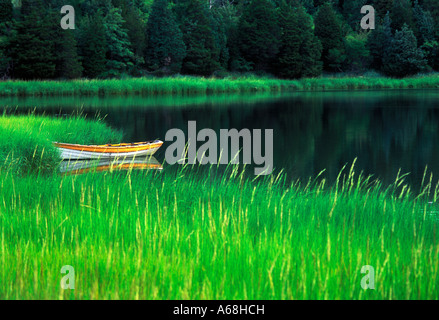 Bateau à rames en herbe marsh Mill Pond, Cape Cod Banque D'Images