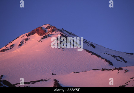 Lever du soleil sur le Mont Shasta au début de l'été, California USA Banque D'Images