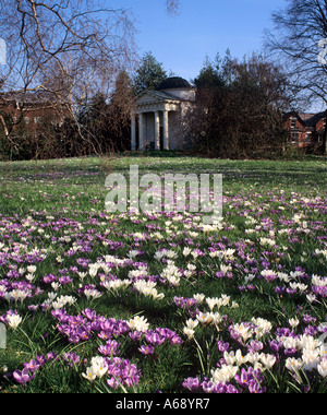 Temple et tapis de crocus bulbes , Kew gardens , Londres , Angleterre Banque D'Images