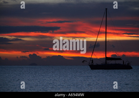 L'homme de plongée voile Voile Voile à Antigua, Leeward Islands, Banque D'Images