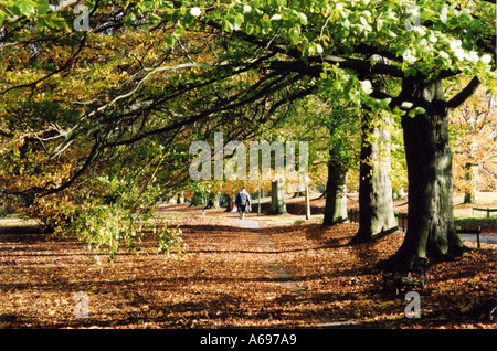 Automne Mote Park Maidstone Banque D'Images