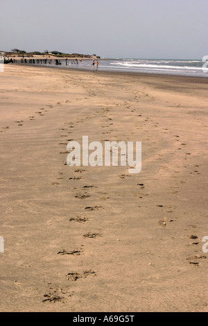 La Gambie Fajara près de plage vide avec des empreintes dans le sable Banque D'Images