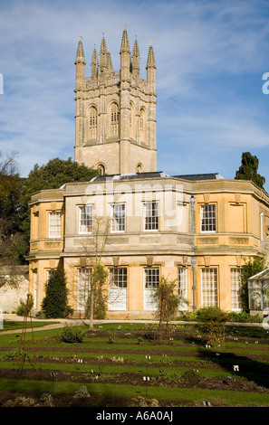 Le Jardin botanique de l'université et laboratoire, Oxford, Angleterre, Royaume-Uni. Banque D'Images