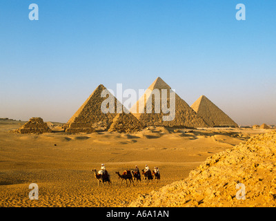 Giza, Egypte ; train chameau passant devant les pyramides. Banque D'Images