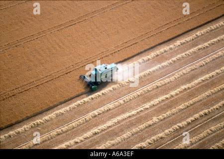 Vue aérienne de la moissonneuse-batteuse, dans le Wiltshire Domaine UK Banque D'Images