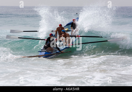 Surfboat racing - Sydney, New South Wales, Australia Banque D'Images