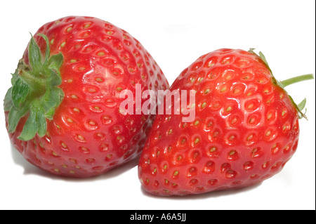 Deux fraises mûres isolated on white Banque D'Images