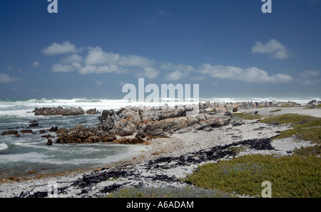 Cap des aiguilles et l'Océan Atlantique cap Agulhas est le point le plus au sud du continent de l'Afrique Banque D'Images