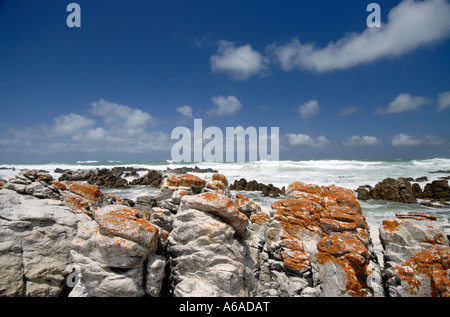 Cap des aiguilles et l'Océan Atlantique cap Agulhas est le point le plus au sud du continent de l'Afrique Banque D'Images