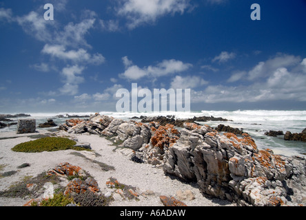 Cap des aiguilles et de l'Océan Indien cap Agulhas est le point le plus au sud du continent de l'Afrique Banque D'Images