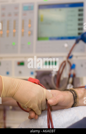 Infirmière détient une part de patients pendant la dialyse UK Banque D'Images