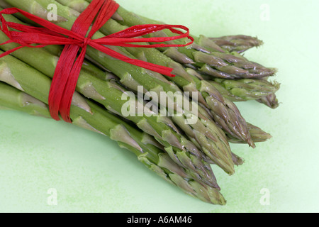 Bouquet de pointes d'asperges fraîches attaché avec du raphia rouge. Banque D'Images