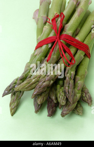 Bouquet de pointes d'asperges fraîches attaché avec du raphia rouge. Banque D'Images