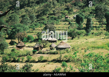 Les petites exploitations ou shambas Pokot au Kenya Afrique de l'Est près de Kapenguria Banque D'Images