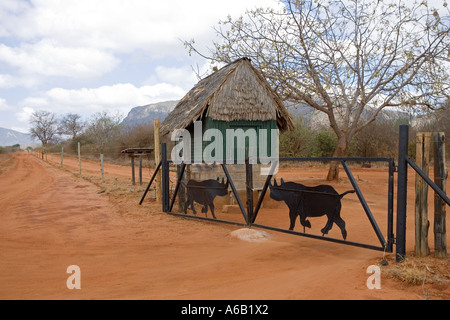 Porte d'entrée au sanctuaire de rhinocéros Ngulia avec solar powered clôture électrifiée Parc national de Tsavo Ouest Kenya Banque D'Images