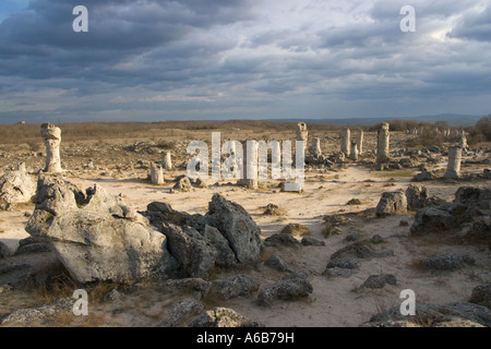 Pobiti Kamani, phénomène de la nature, pierres sur pied, monolithes de calcaire cylindriques, Europe de l'est, Bulgarie Banque D'Images