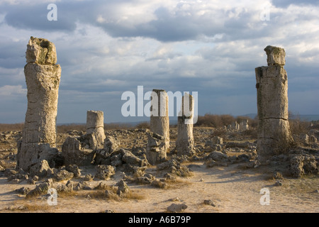 Pobiti Kamani, phénomène de la nature, pierres sur pied, monolithes de calcaire cylindriques, Europe de l'est, Bulgarie Banque D'Images