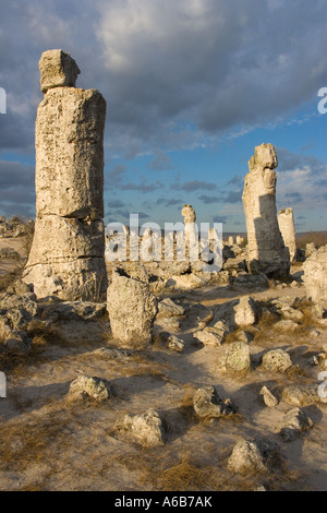 Pobiti Kamani, phénomène de la nature, pierres sur pied, monolithes de calcaire cylindriques, Europe de l'est, Bulgarie Banque D'Images