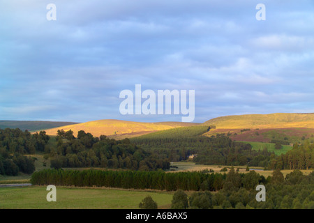 Tomatin ecosse vue sur les champs au coucher du soleil et les collines Banque D'Images