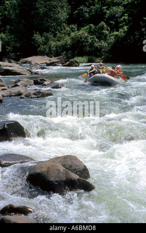 Le rafting sur la rivière Kelani au Sri Lanka Banque D'Images