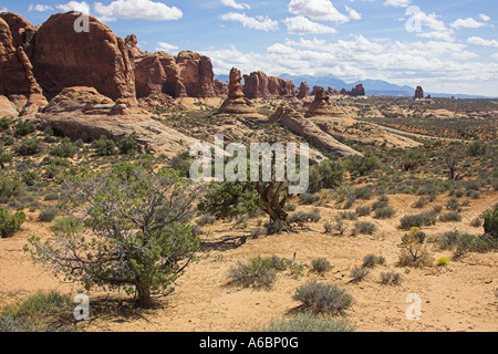 Buttes et les falaises près de la section Windows de Arches National Park Utah USA Banque D'Images