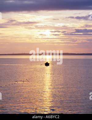 Petit bateau à rames contre ciel du soir sur la plus longue rivière d'Irlande Banque D'Images