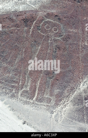 Vue sur les lignes de Nazca au Pérou Banque D'Images