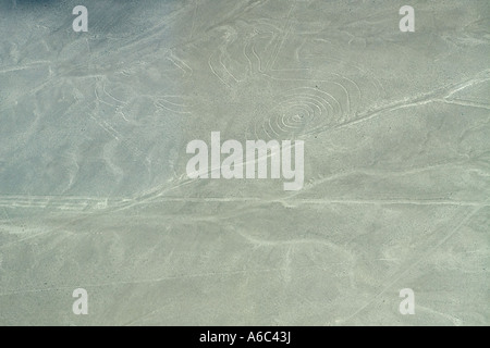 Vue sur les lignes de Nazca au Pérou Banque D'Images