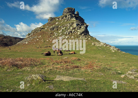 Poneys Exmoor se reposer en face de Castle Rock, La Vallée des Roches, Lynton, Devon Banque D'Images