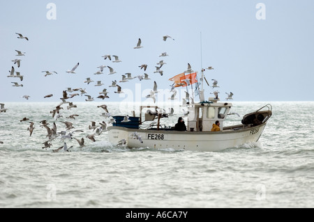 Les goélands s'assemblant autour du petit bateau de pêche Manche Kent Banque D'Images