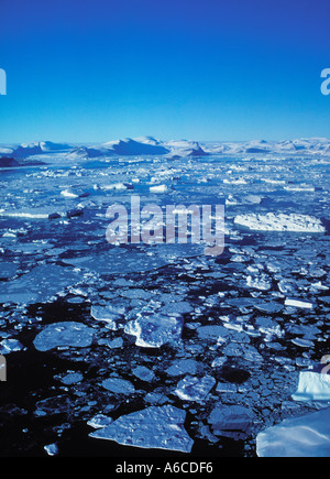 Les icebergs et banquise éparpillés dans la mer de la baie de Melville, Groenland Banque D'Images