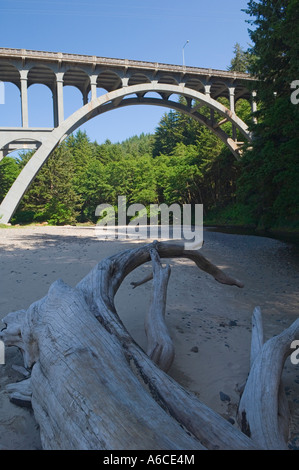 Cape Creek Bridge à Devils Elbow State Park sur la côte de l'Oregon Banque D'Images