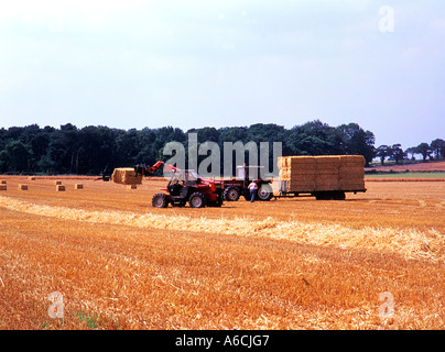 Tracteur avec remorque et hay bale in farm field stacker dans cheshire sur summers soir Banque D'Images