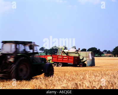 Le déplacement du tracteur dans les champs vers remorques attendant d'être mis hors du champ Banque D'Images