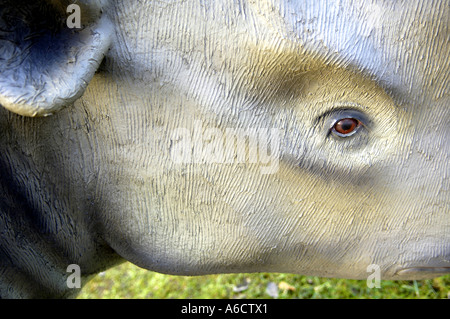 Animal préhistorique gros gros gros détail sauvage massif naturel nature face Banque D'Images
