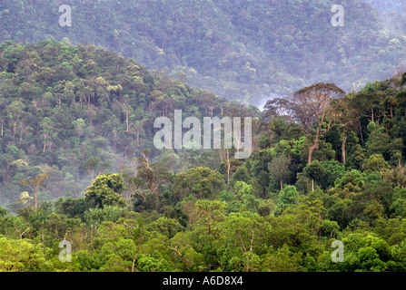 La réserve naturelle du GIA, Ha Giang, Vietnam Banque D'Images