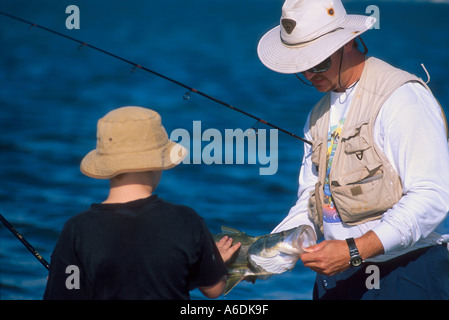 Man showing boy Snook Centropomus dans udecimalis l'Indian River Lagoon Saint Lucie Martin County Florida Estuaire Banque D'Images