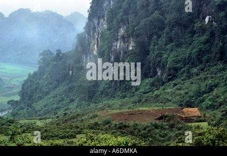 La réserve naturelle du GIA, Ha Giang, Vietnam Banque D'Images