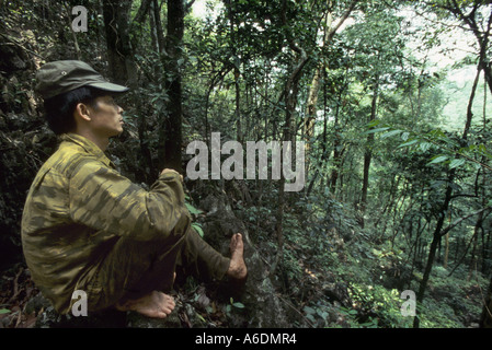 La réserve naturelle du GIA, Ha Giang, Vietnam Banque D'Images